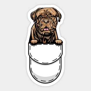 Funny Dogue De Bordeaux Pocket Dog Sticker